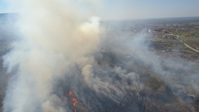 Incendiile de vegetație continuă să devasteze zone din Bulgaria. Valul de căldură alimentează focul
