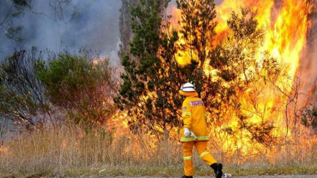 Incendii masive de vegetație în Siberia
