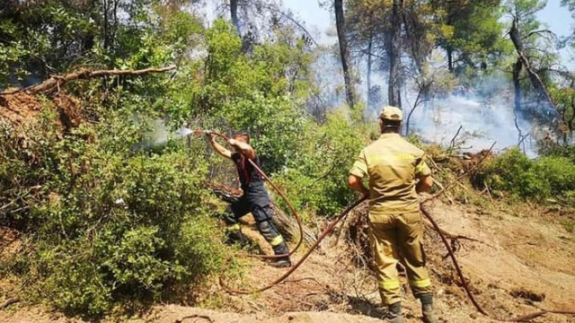 Premierul grec mulțumește celor 22 de țări care ajută la stingerea incendiilor, printre care este și R. Moldova
