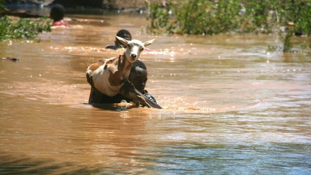Aproape 90.000 de persoane sunt afectate de inundațiile grave din statul Jonglei din Sudanul de Sud (ONU)