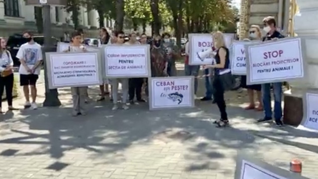 Protest la Primărie: Organizații pentru protecția animalelor au protestat în fața Primăriei capitalei