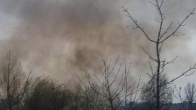 Incendii de vegetație în mai multe regiuni ale Europei
