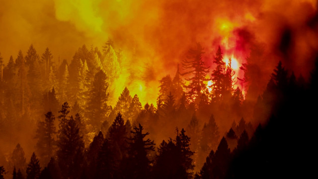 FOTO | Imaginile dezastrului lăsat în urmă de un nou incendiu scăpat de sub control în California. În 24 de ore s-a intensificat de opt ori