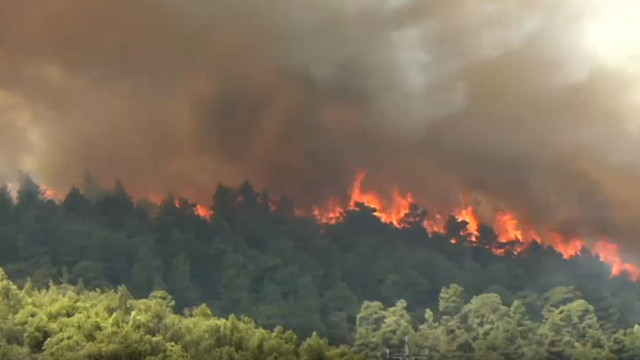 Grecia | Incendiu uriaș în Attica, în zona în care se află pompierii români. Focul s-a extins și se îndreaptă spre zone locuite