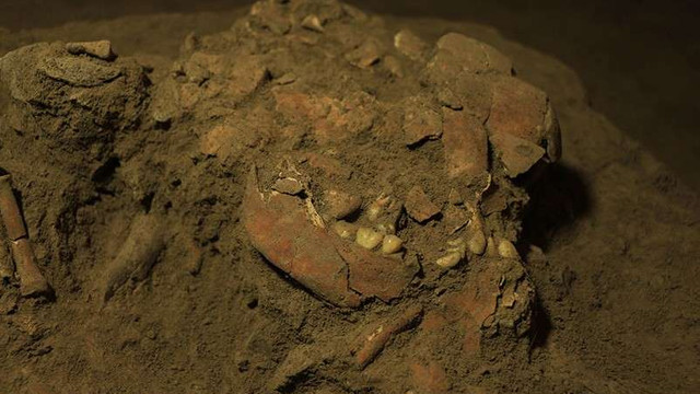 ADN-ul unui schelet descoperit în Indonezia relevă existența unui grup de hominizi necunoscut anterior