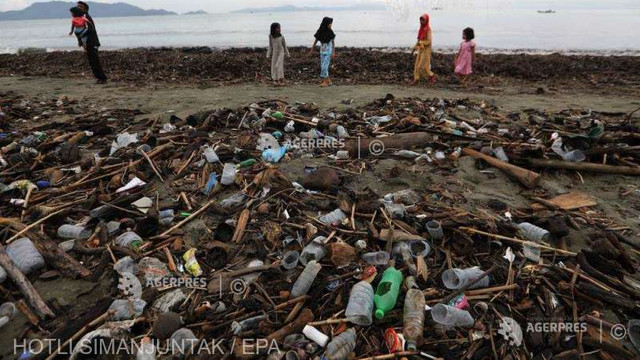 ONU avertizează : Poluarea cu plastic amenință speciile migratoare din regiunea Asia-Pacific