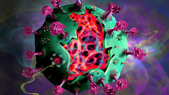 Coronavirusul continuă să se răspândească în SUA cu varianta Delta dominantă