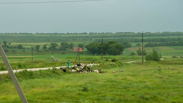 FAO sprijină micii fermieri din R. Moldova să-și sporească reziliența și productivitatea
