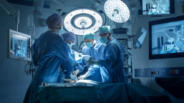 Chirurgii din SUA au transplantat pentru prima dată un rinichi de porc la un om, iar organul nu a fost respins
