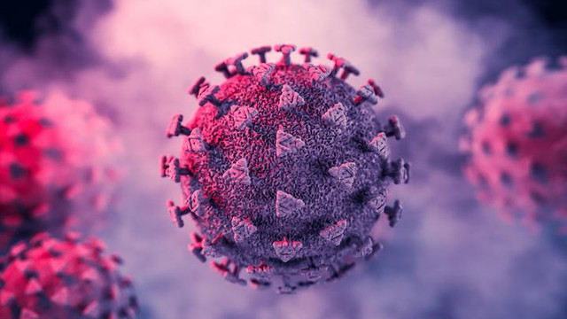 Este probabil că nu vom ști niciodată originile coronavirusului, spun serviciile de informații ale SUA
