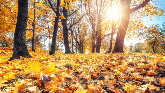 Meteorologii au prognozat un început de noiembrie cu temperaturi generoase
