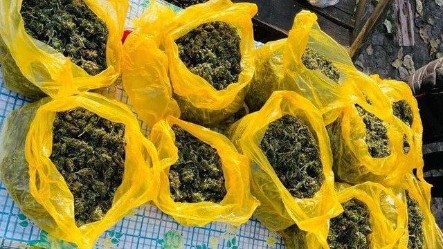 Reținuți în timp ce vindeau droguri. 15 kg de marijuana au fost ridicate de poliție