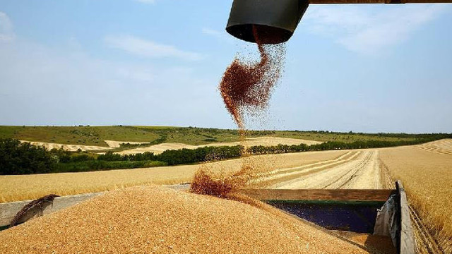 Rezerva de stat va fi suplinită cu 440 de tone de grâu alimentar