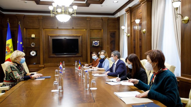 Cooperarea moldo-croată, discutată la întrevederea Președintelui Parlamentului cu Ambasadoarea Republicii Croația în țara noastră, cu sediul la București