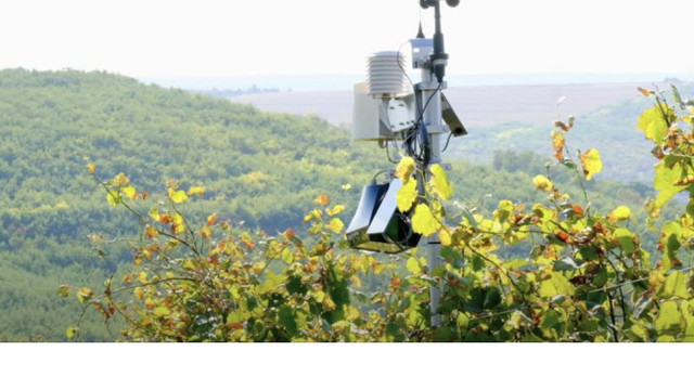 În R. Moldova a fost lansată prima platformă gratuită agro-meteo
