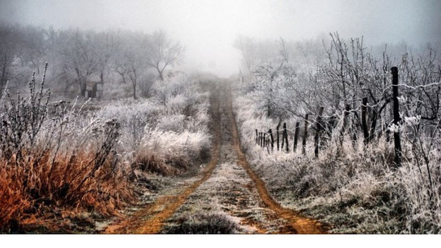 Meteorologii anunță pentru weekend frig și izolat ninsori
