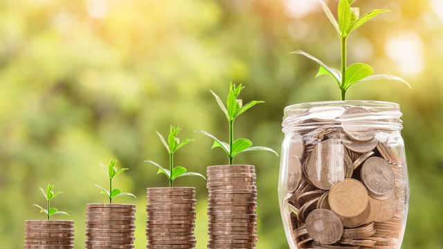 29 de companii vor primi finanțare pentru ecologizarea afacerilor
