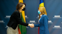 Președinta Comisiei politică externă și integrare europeană a avut o întrevedere cu președinta Parlamentului Lituaniei