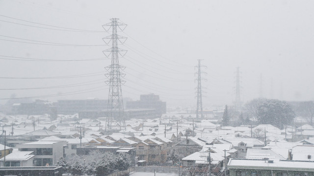 GALERIE FOTO | Cum arată Tokyo după o ninsoare neobișnuită. Oamenii au spus că foarte rar au văzut așa ceva
