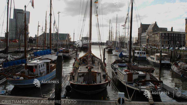 Olanda | Portul Rotterdam a înregistrat anul trecut un nivel record al capturilor de cocaină
