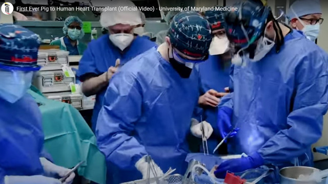 Transplant în premieră mondială. Un american a primit o inimă de porc: „Aveam de ales fie moartea, fie acest transplant”