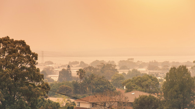 Record de temperatură egalat după 60 de ani, în Australia. Joi s-au înregistrat 50,7 grade, iar vineri va fi și mai cald
