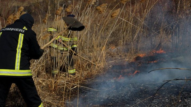Incendii de vegetație extinse pe 184 ha au fost stinse de pompieri în ultimele 24 ore