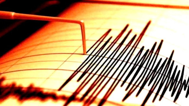Un cutremur cu magnitudinea de 4,2 pe Richter a avut loc noaptea trecută în județul Vrancea