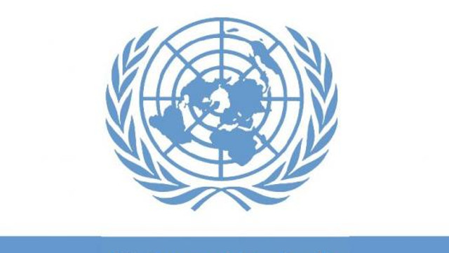Republica Moldova este evaluată, în cadrul sesiunii ONU, din perspectiva respectării drepturilor omului 

