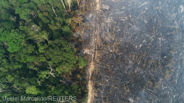 Defrișările din pădurea amazoniană din Brazilia, la nivel record