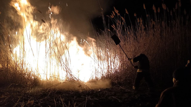 Incendiu în Rezervația Prutul de Jos. Pompierii au luptat mai bine de opt ore cu flăcările care au cuprins circa o sută de hectare de stufăriș (video)