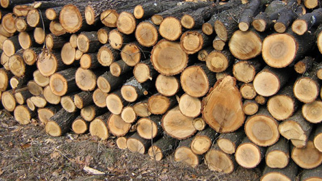 Ministerul Mediului cerut sprijinul APL asigurarea populației cu lemne de foc la iarnă