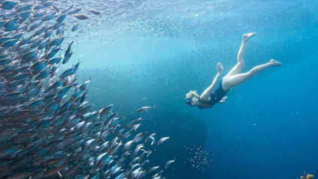 Femeia care poate coborî până la 70 de metri sub apă fără tub de oxigen. „Nici nu știam că e omenește posibil”