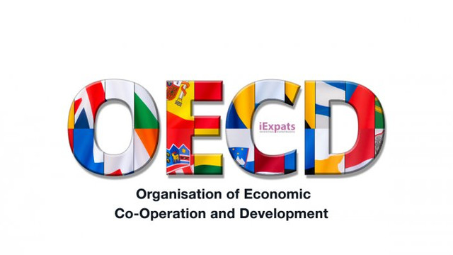 Digitalizarea mediului de afaceri în R. Moldova a fost abordată pe platforma OECD
