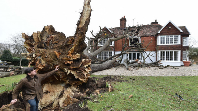 Furtuna Eunice a omorât 13 oameni în Europa. În Marea Britanie vântul a suflat cu 200 km pe oră, în Germania a fost cod violet