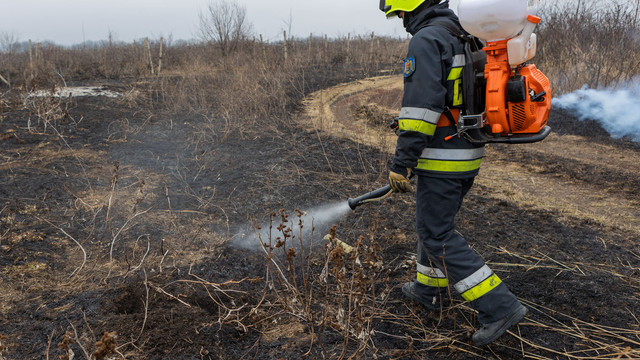 Peste 6 200 de hectare de teren au fost compromise de incendii de la începutul anului
