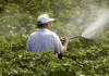 Guvernul a aprobat Planul național de acțiuni privind diminuarea riscurilor asociate utilizării pesticidelor