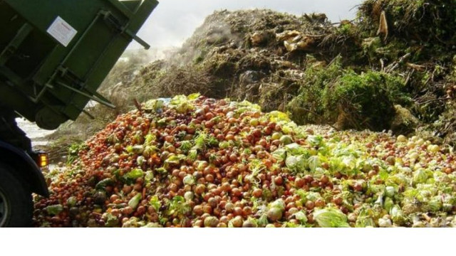 La Ministerul Mediului a fost semnat un Memorandum pentru prevenirea risipei alimentare