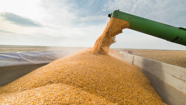 Ucraina vrea să reia exportul de cereale pe calea ferată prin România și Republica Moldova