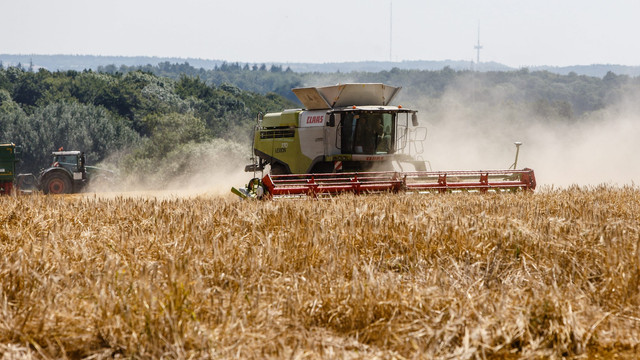 Comerțul UE cu produse agricole a ajuns la 347 mld. de euro în 2021. 5% dintre importuri au provenit din Ucraina