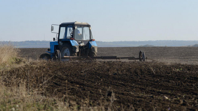 Guvernul a aprobat proiectul cu privire la modul de repartizare a subvențiilor acordate sectorului agrar 

