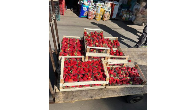 Un lot neconform de căpșune a fost retras din comerț
