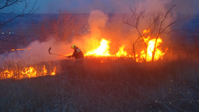 Focul a nimicit peeste 100 de hectare cu iarbă uscată la Leușeni