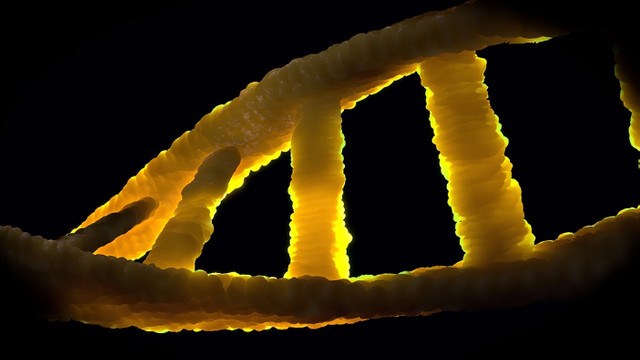Oamenii de știință au publicat primul genom uman complet
