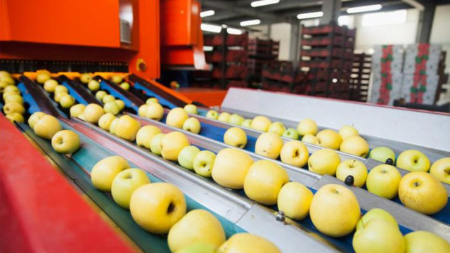Ministrul Agriculturii: Primele tiruri cu mere din R. Moldova au ajuns în România. Producătorii au o oportunitate extraordinară pentru a intra pe această piață