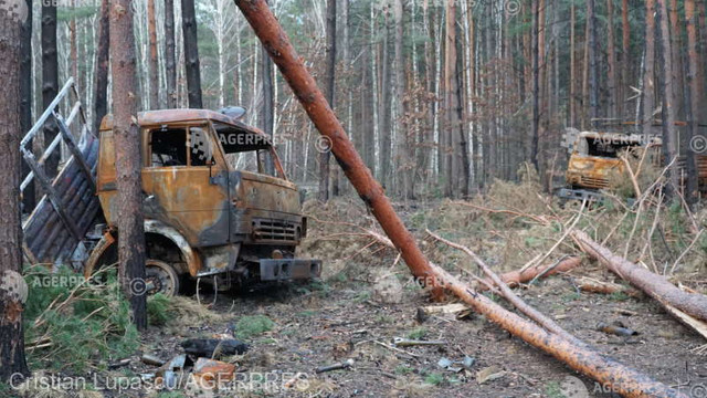 Pădurea Norka, locul în care militarii ruși au plănuit atacurile de la Bucea, Irpin sau Borodeanka