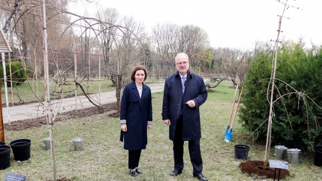 Președinta Maia Sandu împreună cu președintele Letoniei, Egils Levits, au plantat arbori