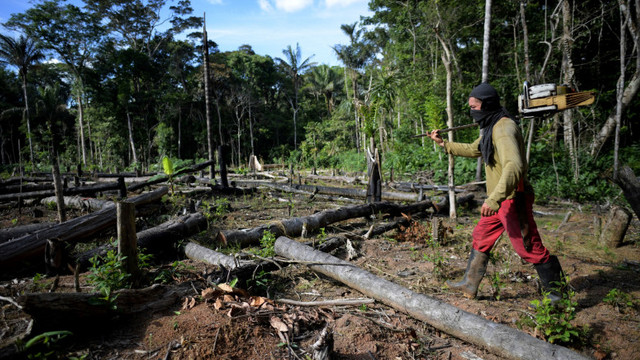 Suprafața de pădure amazoniană defrișată în primele trei luni din 2022 a fost mai mare ca niciodată (CNN)