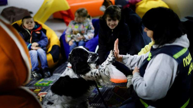 Un câine de terapie aduce alinare copiilor afectați de război în Ucraina
