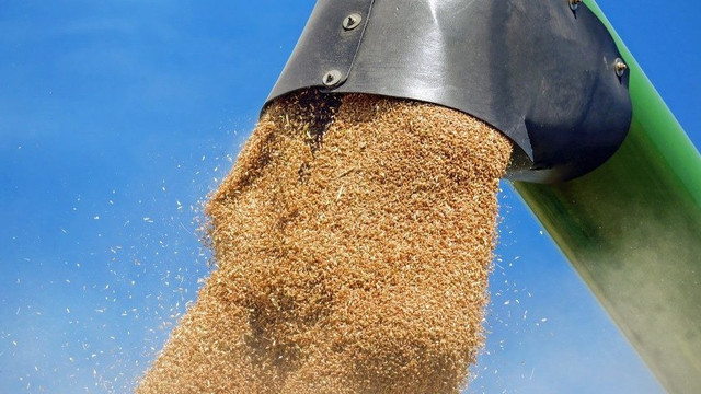 Ucraina a exportat 763.000 de tone de cereale în luna aprilie